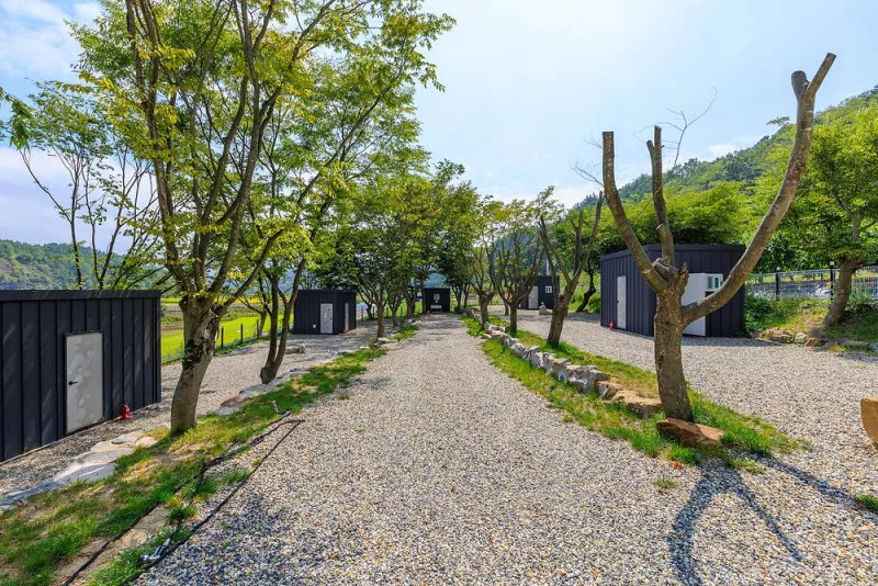 느티담길 캠핑장 11
