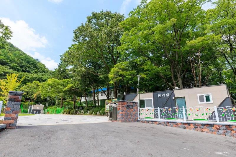 경상북도교육청 포항산누리오토캠핑장 4