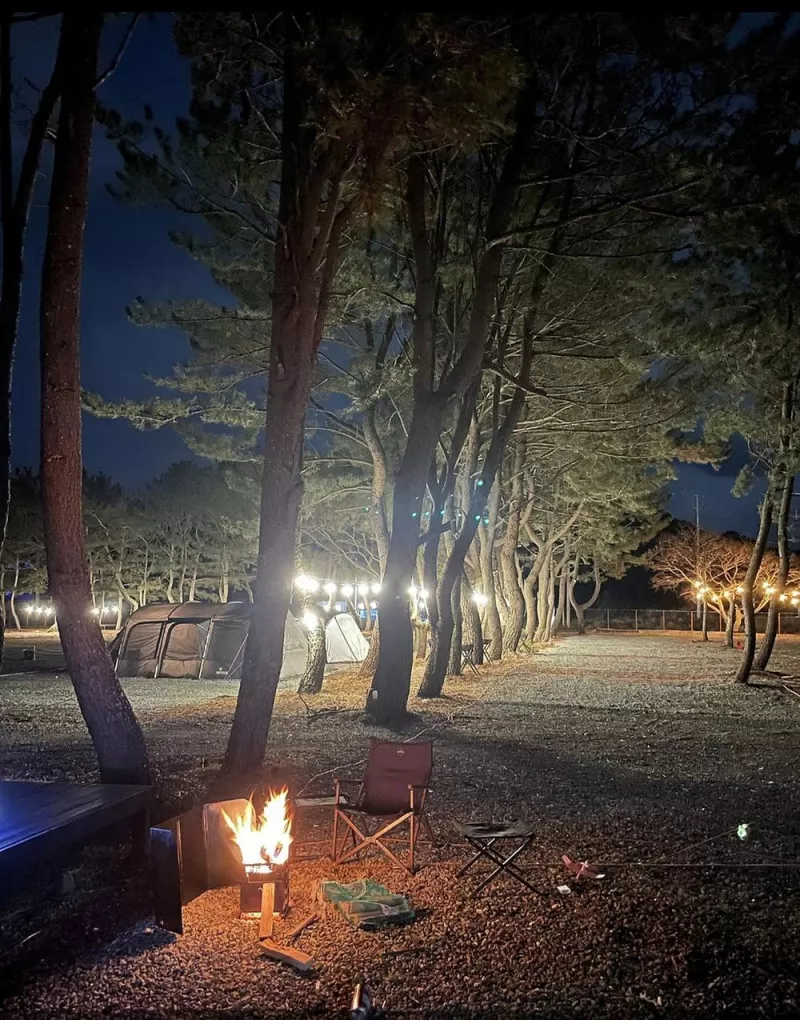 펜캠2495체험학교 3