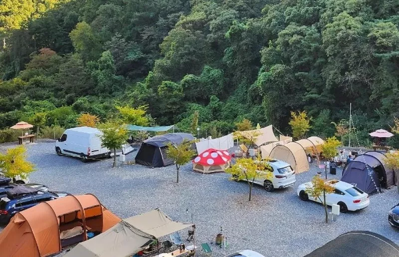 두더지CAMP 16