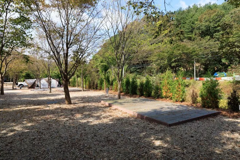 금산 자연 오토캠핑장 21