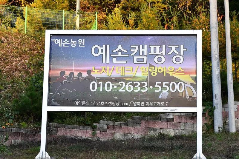 예손농원캠핑장 7
