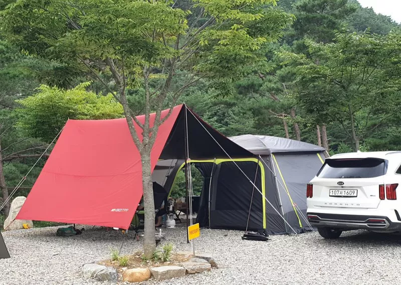 왕피천하늘담야영장 5