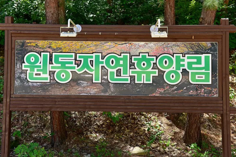 원동자연휴양림 6