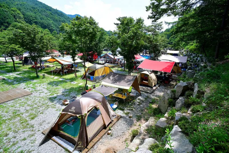 진안국제 캠핑장 6