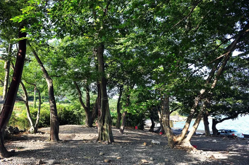 초전마을 캠핑장 11