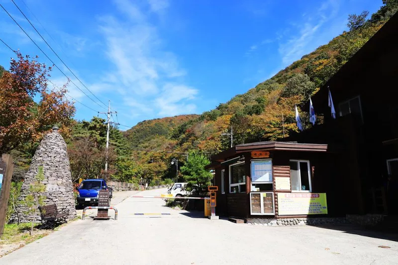 국립두타산자연휴양림 11