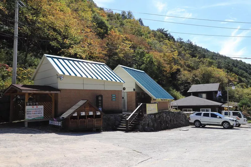 국립두타산자연휴양림 20