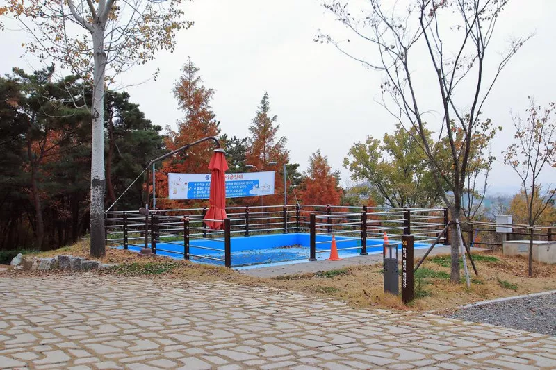 달서별빛캠프 캠핑장 7