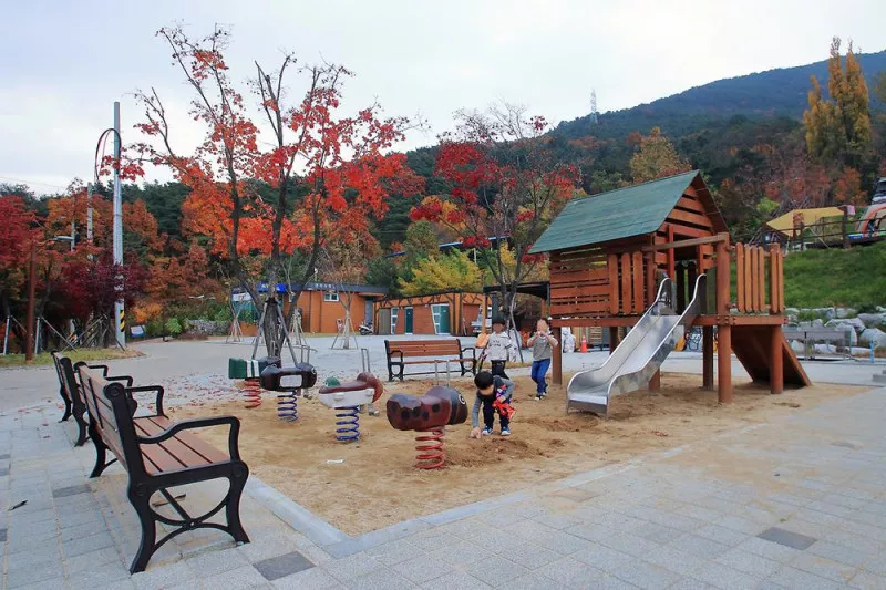 달서별빛캠프 캠핑장 5