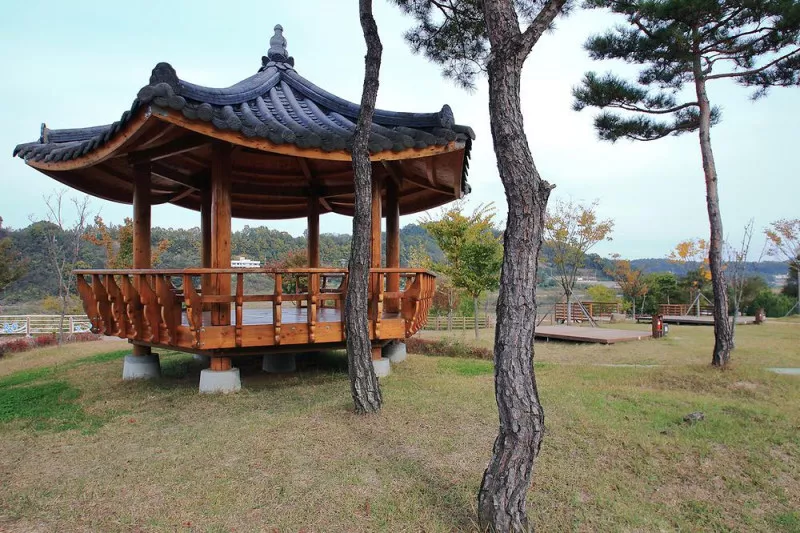 단호샌드파크 자동차야영장 10