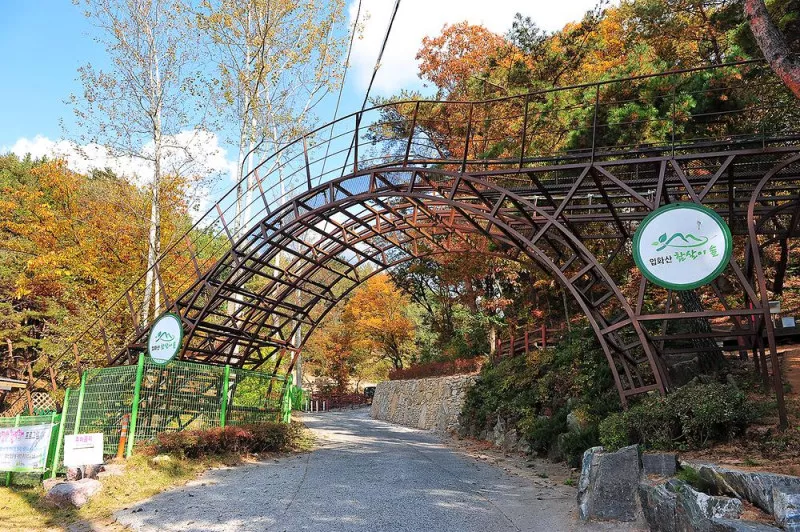 입화산 참살이 숲 야영장 5