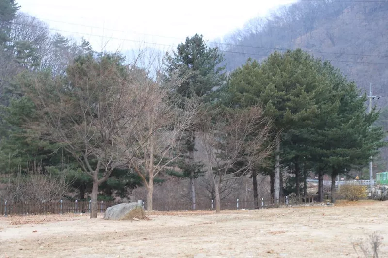 수피다 캠핑장 11