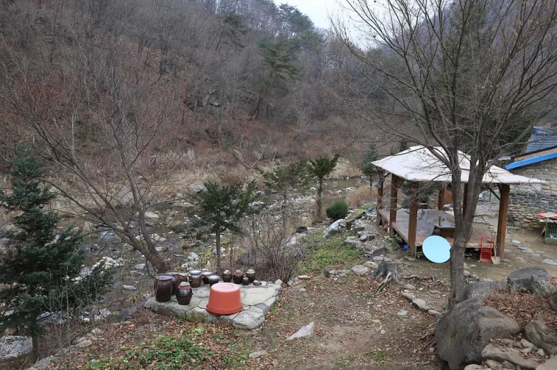 수피다 캠핑장 4