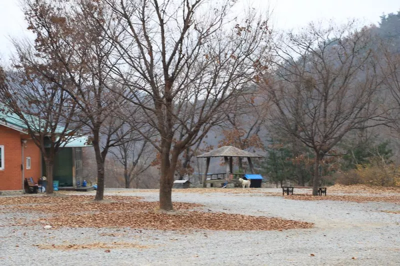 수피다 캠핑장 7