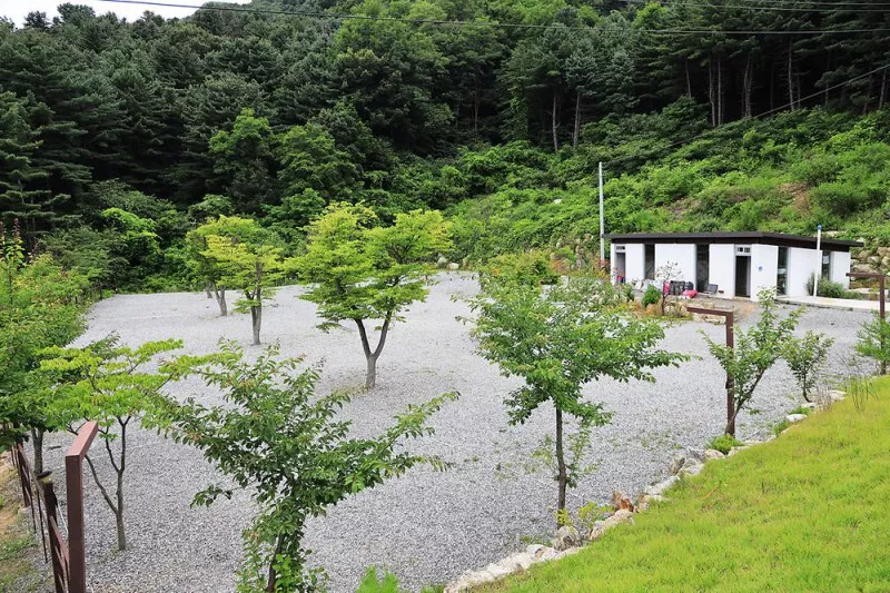 블루문캠핑장 4