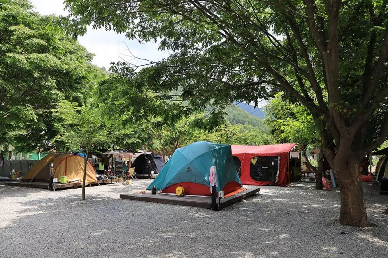 자연과함께 펜션캠핑장 3