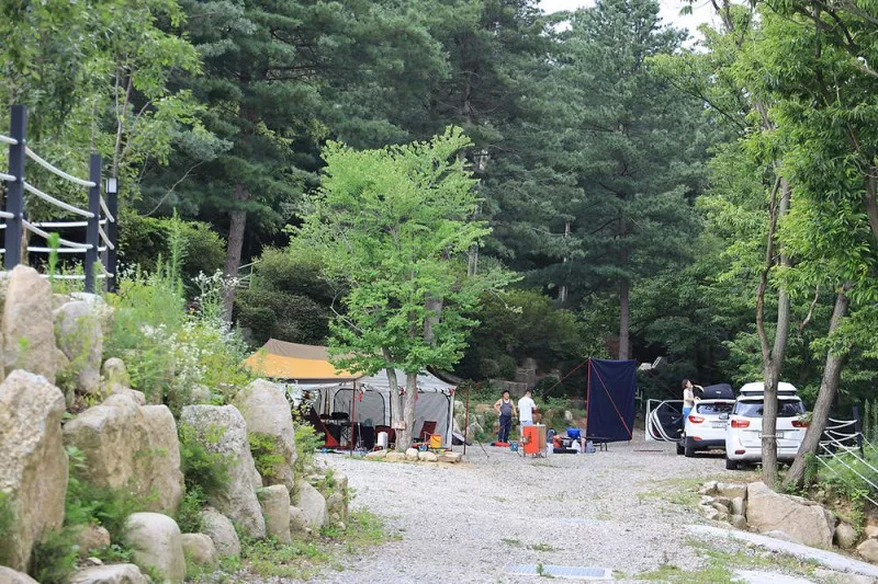 휴랜드관광농원 19