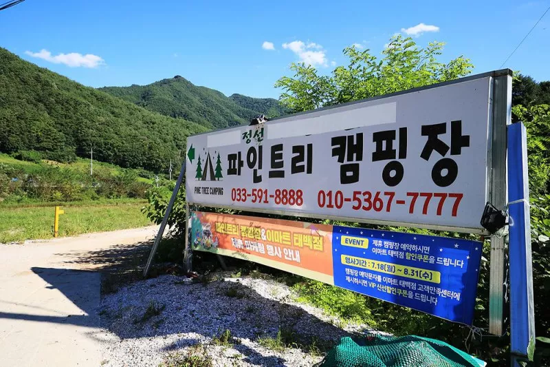 파인트리캠핑장 11