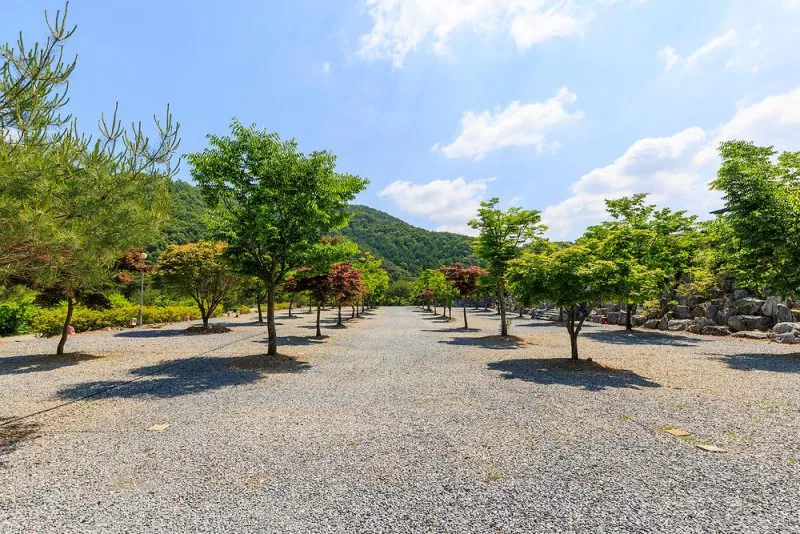 별바라기 캠핑 펜션 4