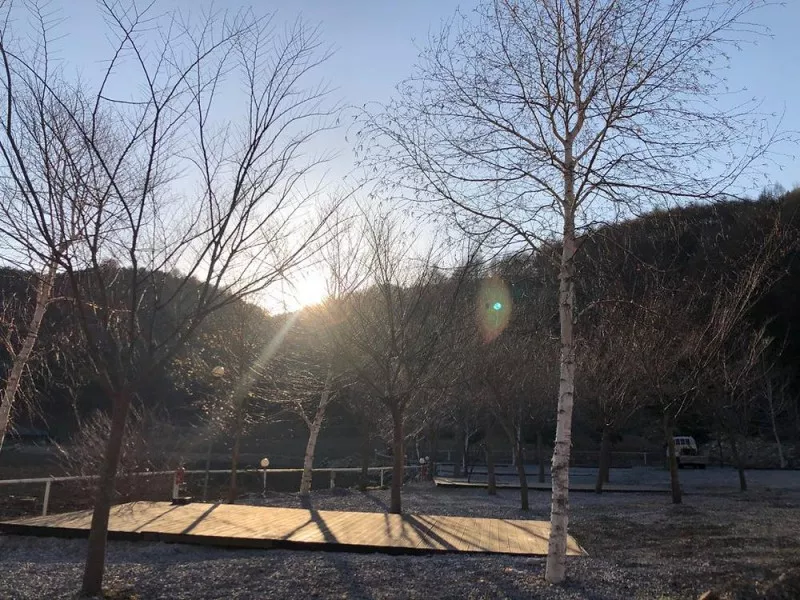 해마루 캠핑장 7