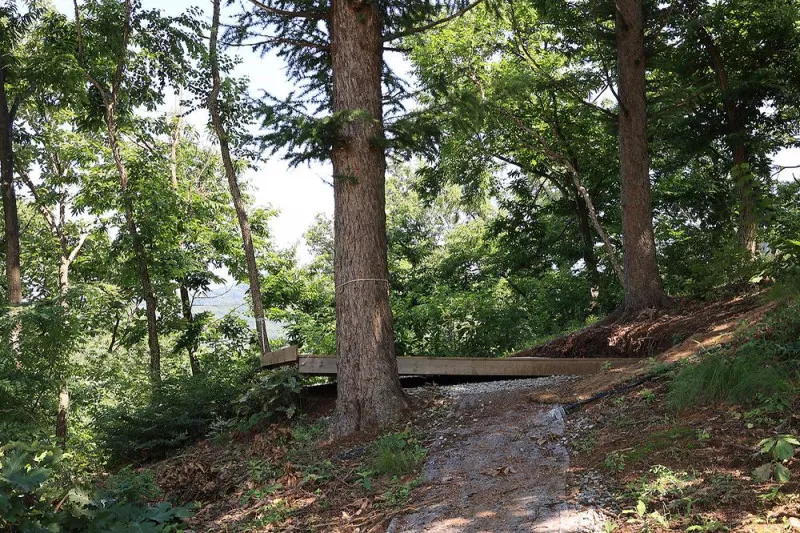 강화 버팔로 캠팜 10