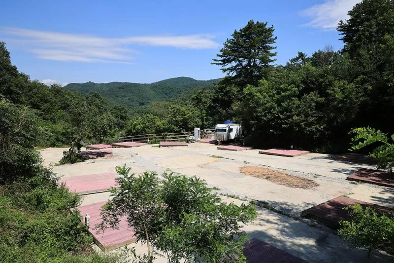 강화 버팔로 캠팜 3