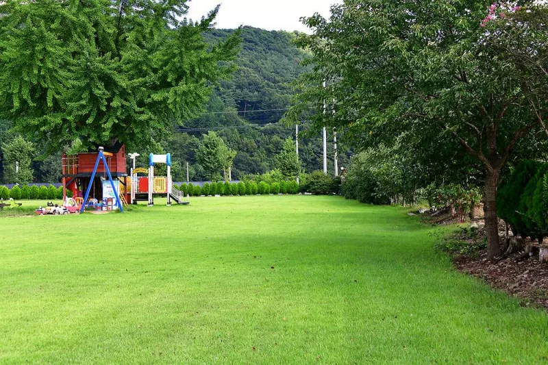 옛서당캠핑농원 11