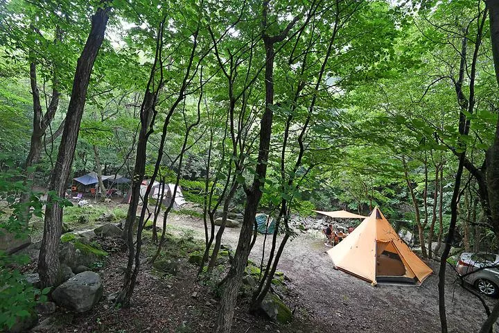 용추자연휴양림야영장 1
