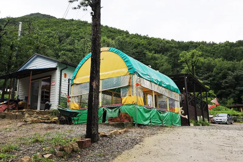 용인 자연숲 캠핑장 4