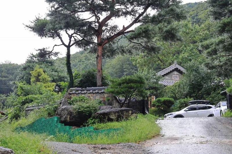 용인 자연숲 캠핑장 2