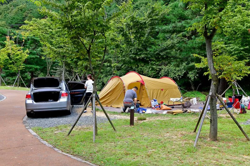 작천정 별빛야영장 3