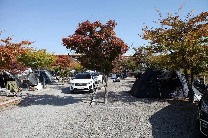 장남동산농원 11