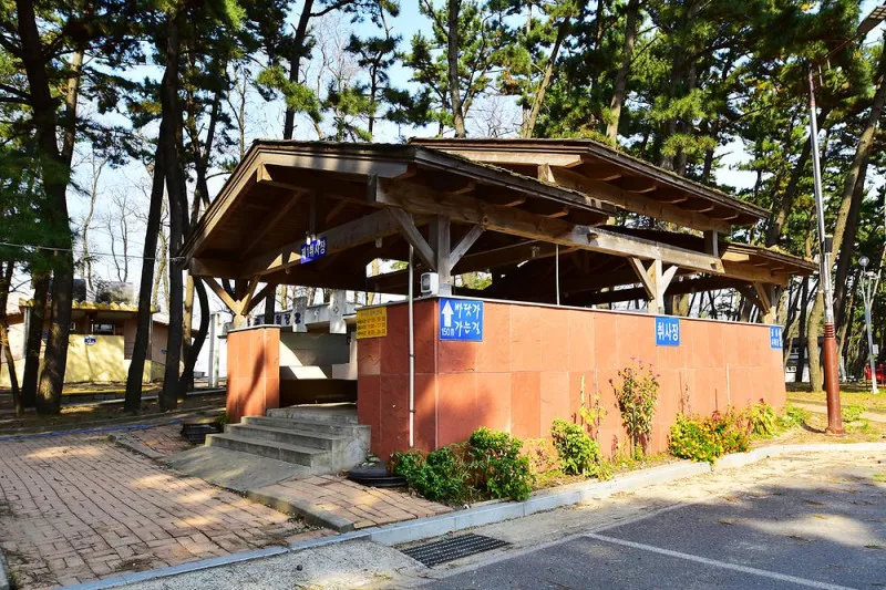 춘장대 중앙솔밭캠핑 5