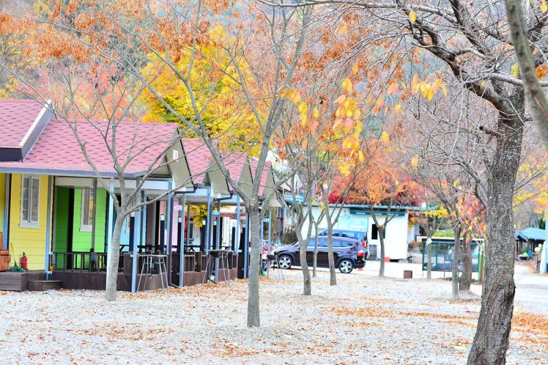 지지벨리 유명산 오토캠핑장 10