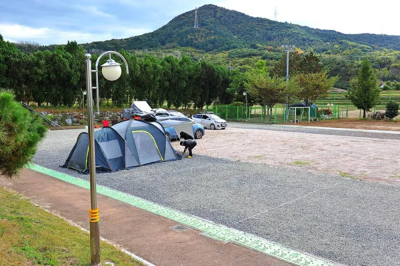 청광새들녘캠핑 9