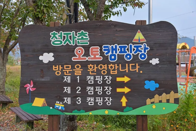 청자촌 오토캠핑장 4