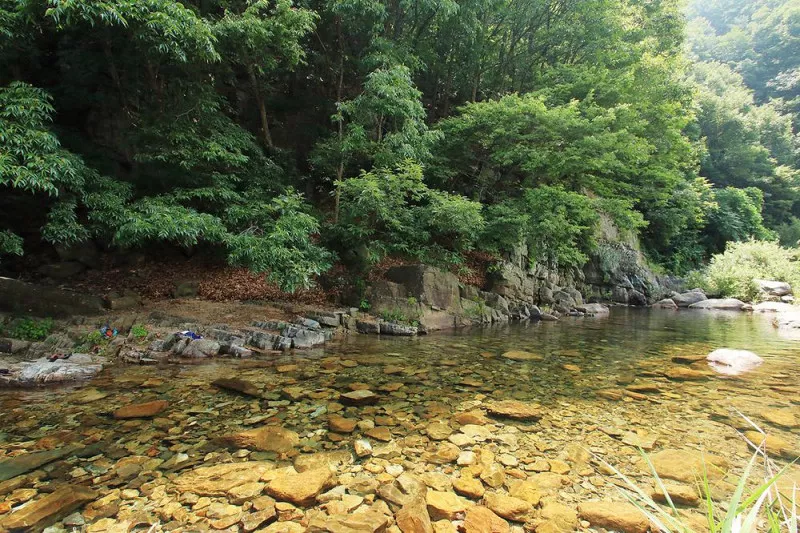 치산 관광지 캠핑장 11