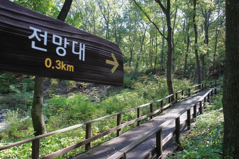토함산 자연휴양림 7