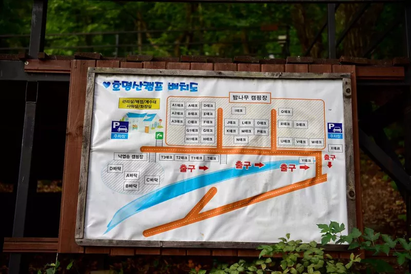 호명산 캠프 9