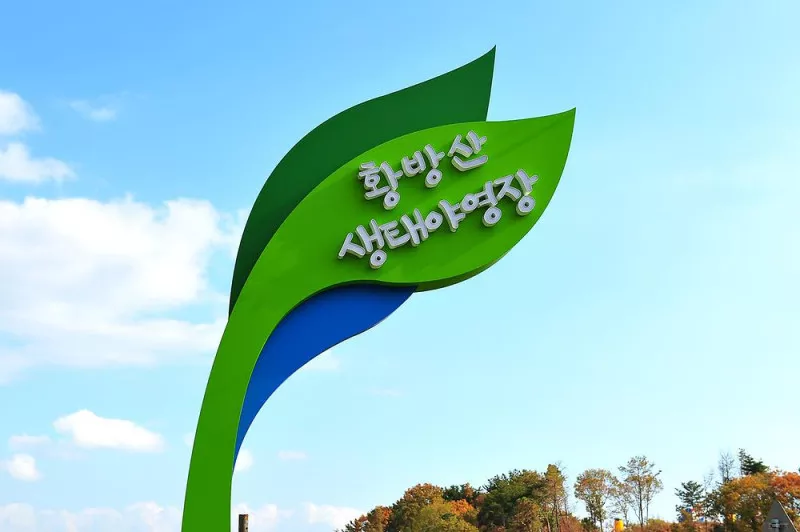 황방산 생태야영장 3