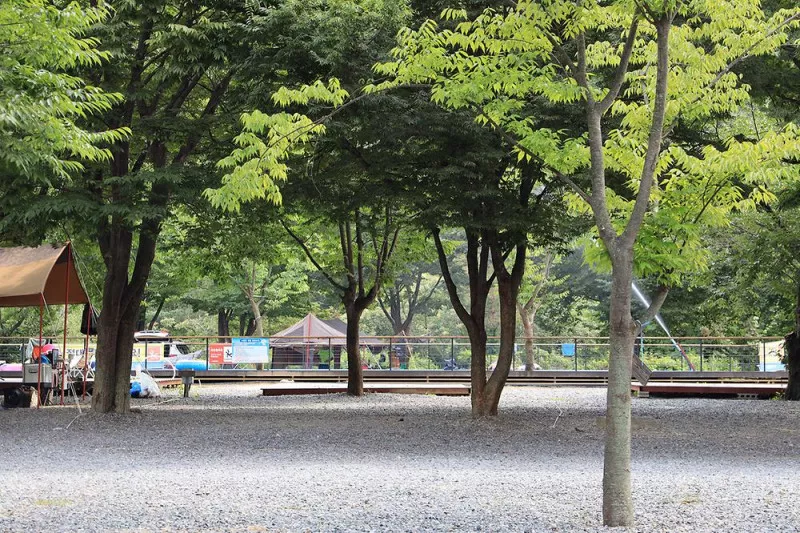 뉴힐링캠프 10