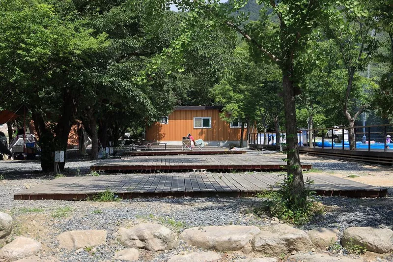 뉴힐링캠프 7