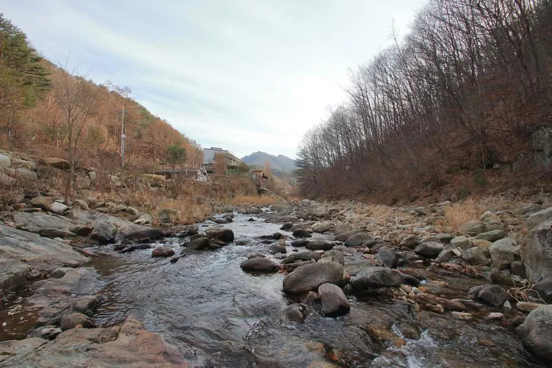 별밤펜션 캠핑장 9