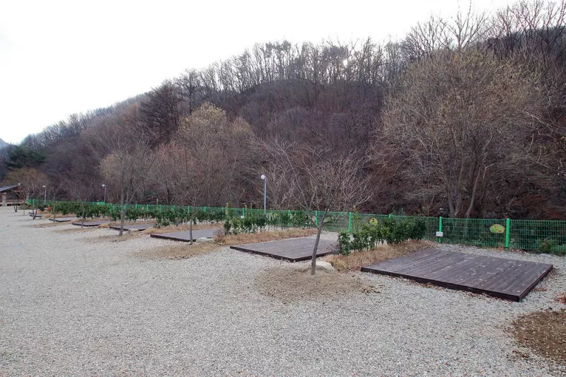 별밤펜션 캠핑장 2