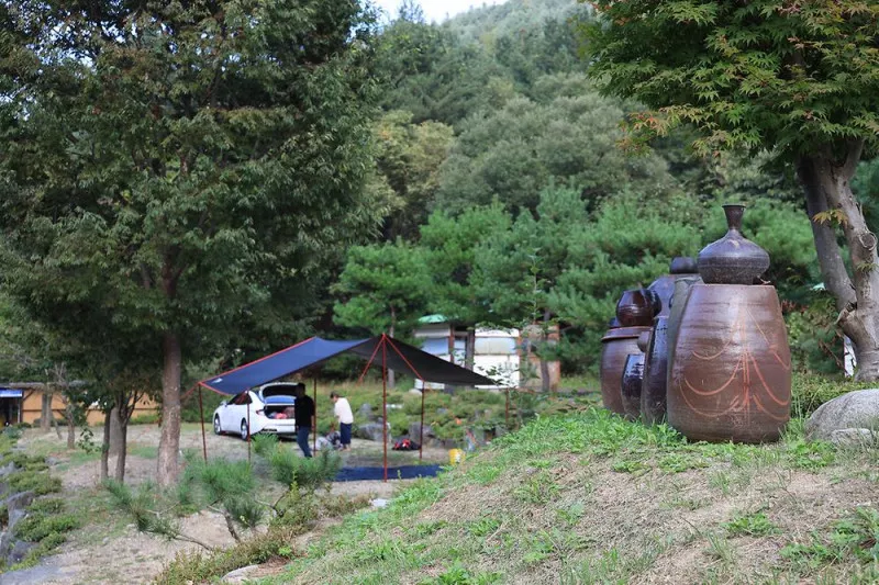 분지울작은캠프장 9