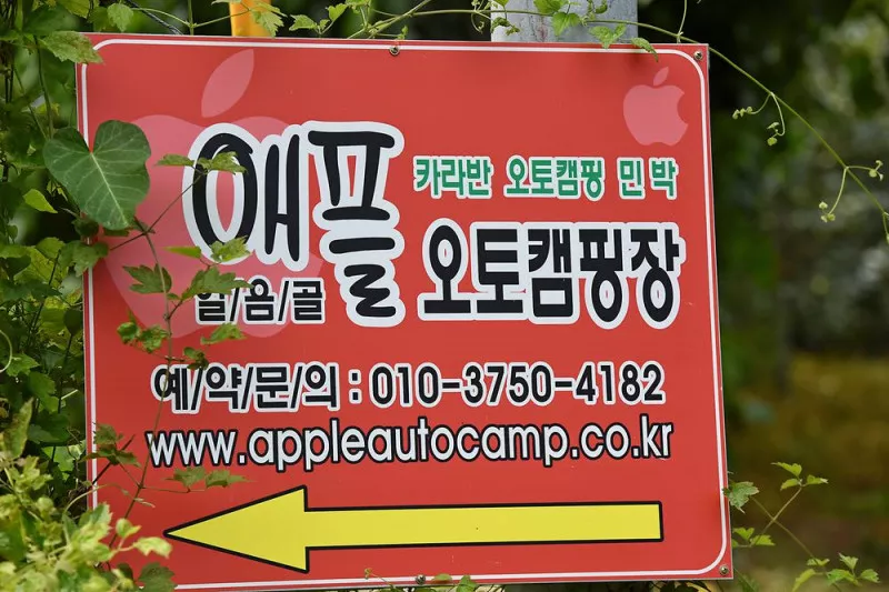 얼음골애플 오토캠핑장 9