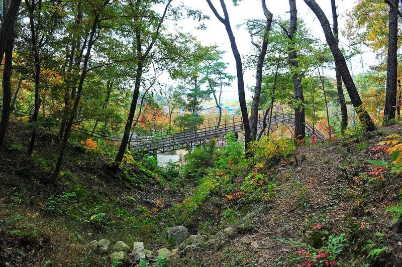 입화산 참살이숲 제2오토캠핑장 10