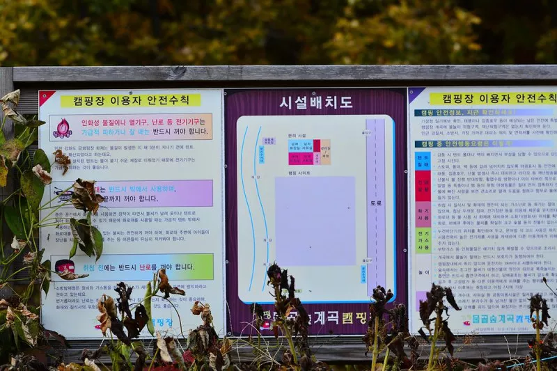 가평 물골숲 계곡 캠핑장 11