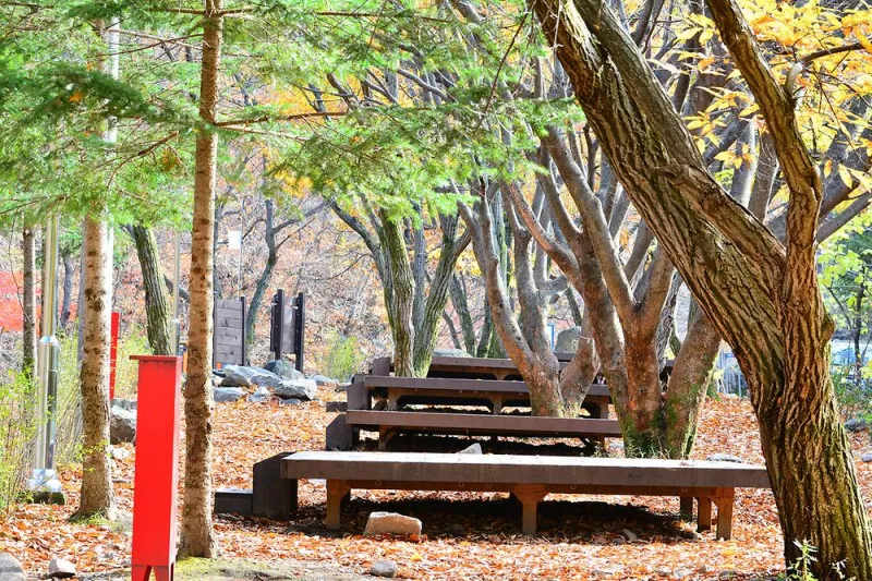 국립유명산자연휴양림(일반) 10